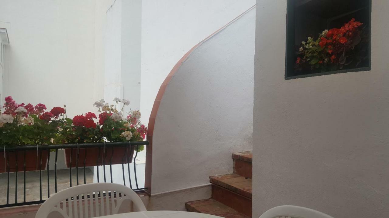 Pension Yna Holiday Málaga Dış mekan fotoğraf